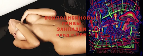 Альфа ПВП Балабаново