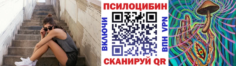 закладки  Обоянь  Галлюциногенные грибы мицелий 